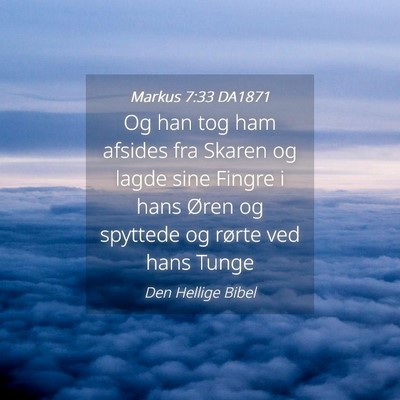 Picture 04 - Markus 7:33 DA1871 - Og han tog ham afsides fra Skaren og lagde sine - Bible Verse Picture