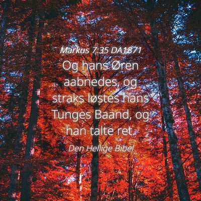 Picture 04 - Markus 7:35 DA1871 - Og hans Øren aabnedes, og straks løstes hans - Bible Verse Picture