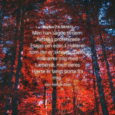 Picture 04 - Markus 7:6 DA1871 - Men han sagde til dem: „Rettelig profeterede - Bible Verse Picture