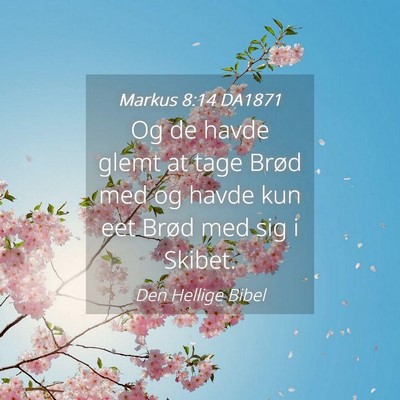 Picture 04 - Markus 8:14 DA1871 - Og de havde glemt at tage Brød med og havde kun - Bible Verse Picture