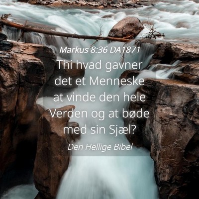 Picture 04 - Markus 8:36 DA1871 - Thi hvad gavner det et Menneske at vinde den hele - Bible Verse Picture