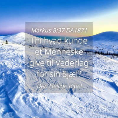 Picture 04 - Markus 8:37 DA1871 - Thi hvad kunde et Menneske give til Vederlag for - Bible Verse Picture