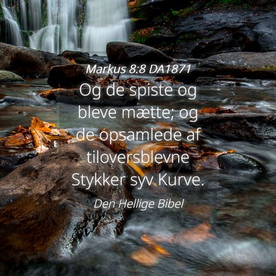 Picture 04 - Markus 8:8 DA1871 - Og de spiste og bleve mætte; og de opsamlede af - Bible Verse Picture