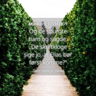 Picture 04 - Markus 9:11 DA1871 - Og de spurgte ham og sagde: „De skriftkloge - Bible Verse Picture