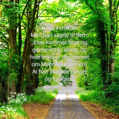 Picture 04 - Markus 9:12 DA1871 - Men han sagde til dem: „Elias kommer først og - Bible Verse Picture