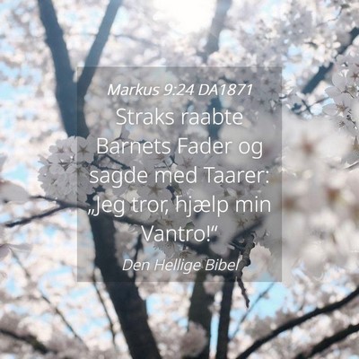 Picture 04 - Markus 9:24 DA1871 - Straks raabte Barnets Fader og sagde med Taarer: - Bible Verse Picture