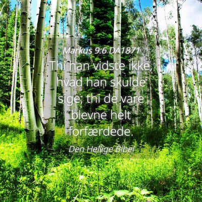 Picture 04 - Markus 9:6 DA1871 - Thi han vidste ikke, hvad han skulde sige; thi de - Bible Verse Picture