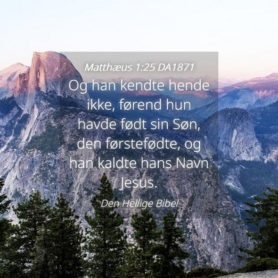 Picture 04 - Matthæus 1:25 DA1871 - Og han kendte hende ikke, førend hun havde født - Bible Verse Picture