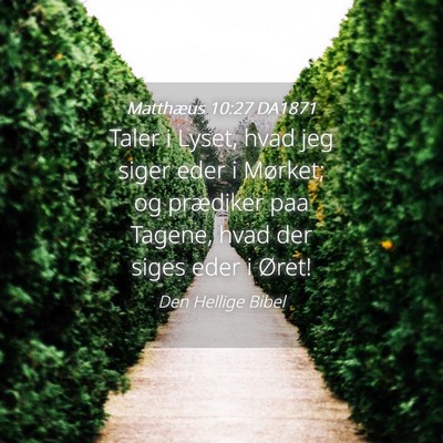 Picture 04 - Matthæus 10:27 DA1871 - Taler i Lyset, hvad jeg siger eder i Mørket; og - Bible Verse Picture