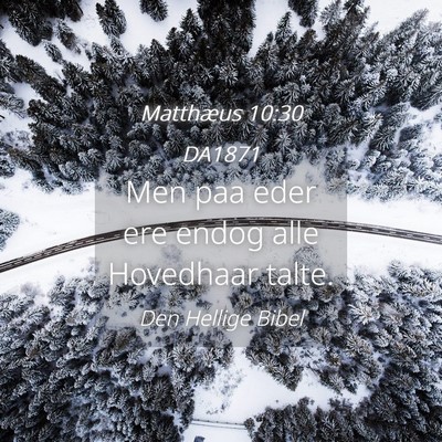 Picture 04 - Matthæus 10:30 DA1871 - Men paa eder ere endog alle Hovedhaar - Bible Verse Picture