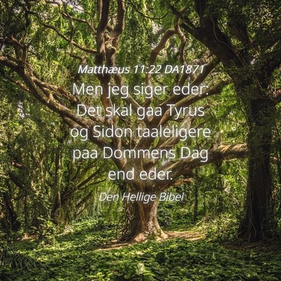 Picture 04 - Matthæus 11:22 DA1871 - Men jeg siger eder: Det skal gaa Tyrus og Sidon - Bible Verse Picture
