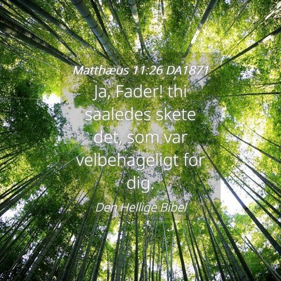 Picture 04 - Matthæus 11:26 DA1871 - Ja, Fader! thi saaledes skete det, som var - Bible Verse Picture