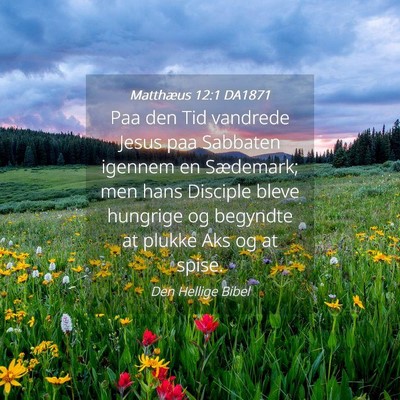 Picture 04 - Matthæus 12:1 DA1871 - Paa den Tid vandrede Jesus paa Sabbaten igennem - Bible Verse Picture