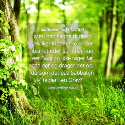Picture 04 - Matthæus 12:11 DA1871 - Men han sagde til dem: „Hvilket Menneske er der - Bible Verse Picture