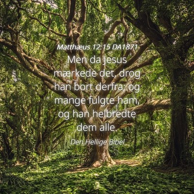 Picture 04 - Matthæus 12:15 DA1871 - Men da Jesus mærkede det, drog han bort derfra; - Bible Verse Picture