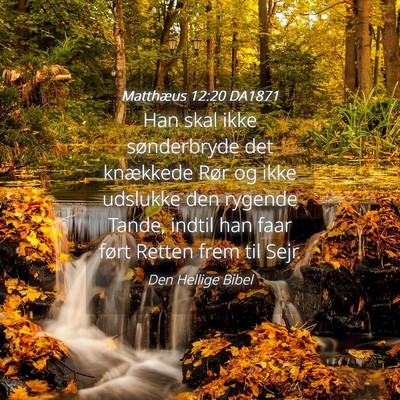 Picture 04 - Matthæus 12:20 DA1871 - Han skal ikke sønderbryde det knækkede Rør og - Bible Verse Picture