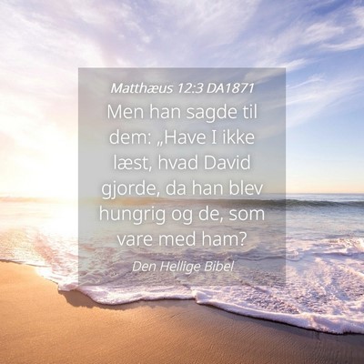 Picture 04 - Matthæus 12:3 DA1871 - Men han sagde til dem: „Have I ikke læst, hvad - Bible Verse Picture