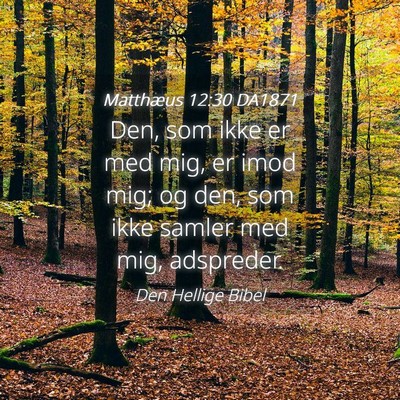 Picture 04 - Matthæus 12:30 DA1871 - Den, som ikke er med mig, er imod mig; og den, - Bible Verse Picture