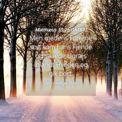 Picture 04 - Matthæus 13:25 DA1871 - Men medens Folkene sov, kom hans Fjende og saaede - Bible Verse Picture