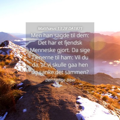 Picture 04 - Matthæus 13:28 DA1871 - Men han sagde til dem: Det har et fjendsk - Bible Verse Picture