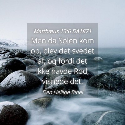 Picture 04 - Matthæus 13:6 DA1871 - Men da Solen kom op, blev det svedet af, og fordi - Bible Verse Picture