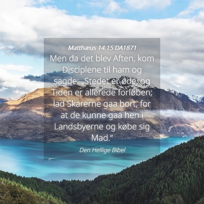 Picture 04 - Matthæus 14:15 DA1871 - Men da det blev Aften, kom Disciplene til ham og - Bible Verse Picture