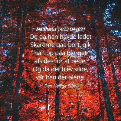 Picture 04 - Matthæus 14:23 DA1871 - Og da han havde ladet Skarerne gaa bort, gik han - Bible Verse Picture