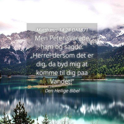 Picture 04 - Matthæus 14:28 DA1871 - Men Peter svarede ham og sagde: „Herre! dersom - Bible Verse Picture