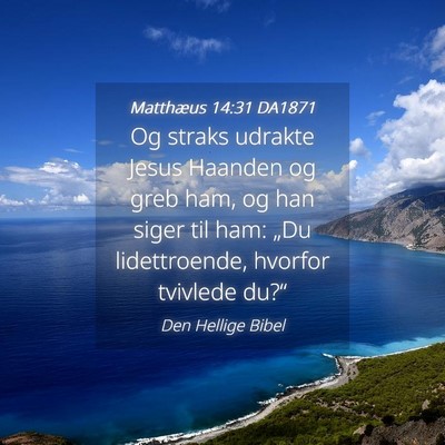 Picture 04 - Matthæus 14:31 DA1871 - Og straks udrakte Jesus Haanden og greb ham, og - Bible Verse Picture