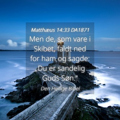 Picture 04 - Matthæus 14:33 DA1871 - Men de, som vare i Skibet, faldt ned for ham og - Bible Verse Picture