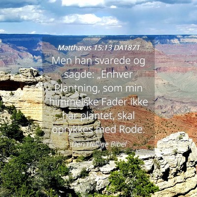 Picture 04 - Matthæus 15:13 DA1871 - Men han svarede og sagde: „Enhver Plantning, - Bible Verse Picture