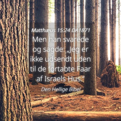 Picture 04 - Matthæus 15:24 DA1871 - Men han svarede og sagde: „Jeg er ikke udsendt - Bible Verse Picture