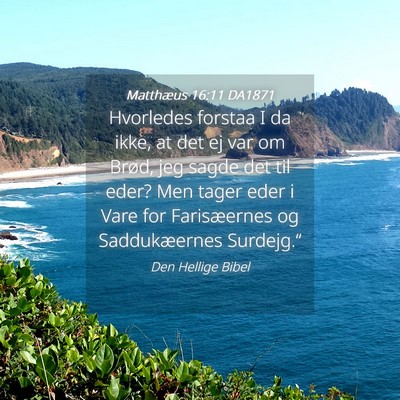 Picture 04 - Matthæus 16:11 DA1871 - Hvorledes forstaa I da ikke, at det ej var om - Bible Verse Picture