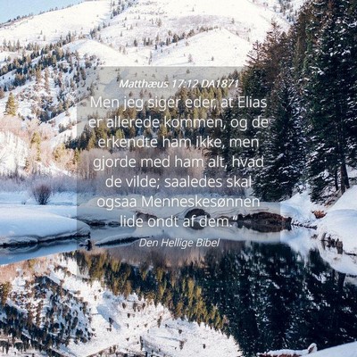 Picture 04 - Matthæus 17:12 DA1871 - Men jeg siger eder, at Elias er allerede kommen, - Bible Verse Picture