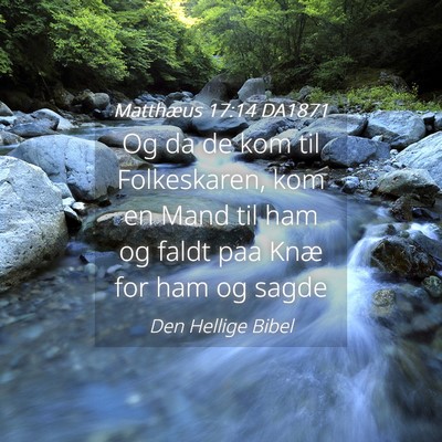 Picture 04 - Matthæus 17:14 DA1871 - Og da de kom til Folkeskaren, kom en Mand til ham - Bible Verse Picture