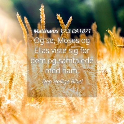 Picture 04 - Matthæus 17:3 DA1871 - Og se, Moses og Elias viste sig for dem og - Bible Verse Picture