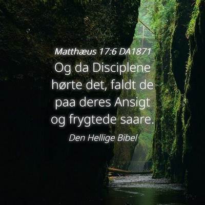 Picture 04 - Matthæus 17:6 DA1871 - Og da Disciplene hørte det, faldt de paa deres - Bible Verse Picture