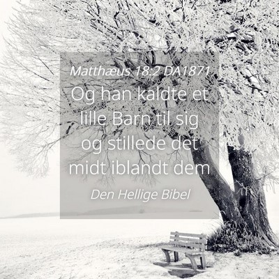 Picture 04 - Matthæus 18:2 DA1871 - Og han kaldte et lille Barn til sig og stillede - Bible Verse Picture