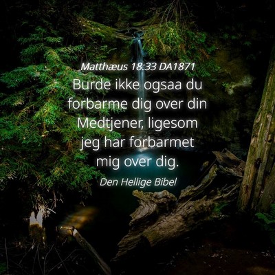 Picture 04 - Matthæus 18:33 DA1871 - Burde ikke ogsaa du forbarme dig over din - Bible Verse Picture