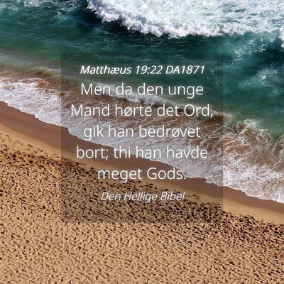 Picture 04 - Matthæus 19:22 DA1871 - Men da den unge Mand hørte det Ord, gik han - Bible Verse Picture