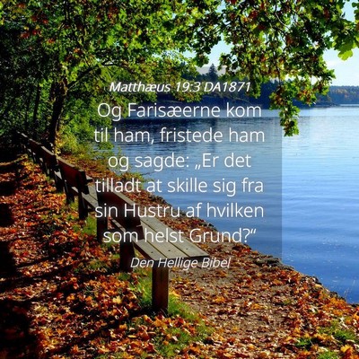 Picture 04 - Matthæus 19:3 DA1871 - Og Farisæerne kom til ham, fristede ham og - Bible Verse Picture