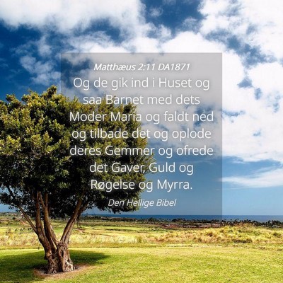 Picture 04 - Matthæus 2:11 DA1871 - Og de gik ind i Huset og saa Barnet med dets - Bible Verse Picture