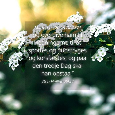 Picture 04 - Matthæus 20:19 DA1871 - og overgive ham til Hedningerne til at spottes og - Bible Verse Picture