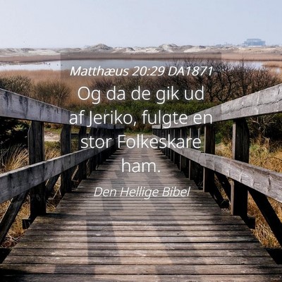 Picture 04 - Matthæus 20:29 DA1871 - Og da de gik ud af Jeriko, fulgte en stor - Bible Verse Picture