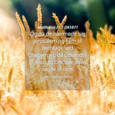 Picture 04 - Matthæus 21:1 DA1871 - Og da de nærmede sig Jerusalem og kom til - Bible Verse Picture