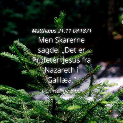 Picture 04 - Matthæus 21:11 DA1871 - Men Skarerne sagde: „Det er Profeten Jesus fra - Bible Verse Picture