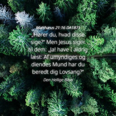 Picture 04 - Matthæus 21:16 DA1871 - „Hører du, hvad disse sige?“ Men Jesus siger - Bible Verse Picture