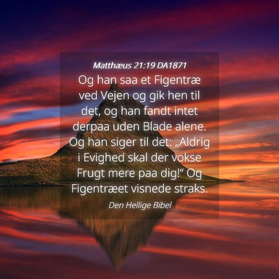Picture 04 - Matthæus 21:19 DA1871 - Og han saa et Figentræ ved Vejen og gik hen til - Bible Verse Picture