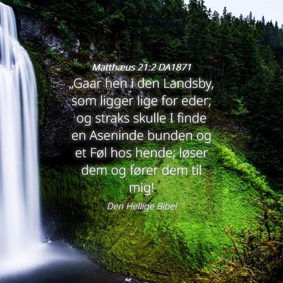 Picture 04 - Matthæus 21:2 DA1871 - „Gaar hen i den Landsby, som ligger lige for - Bible Verse Picture