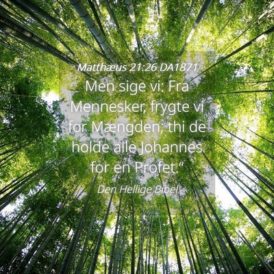 Picture 04 - Matthæus 21:26 DA1871 - Men sige vi: Fra Mennesker, frygte vi for - Bible Verse Picture